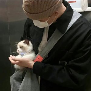 女性统治，黄片
